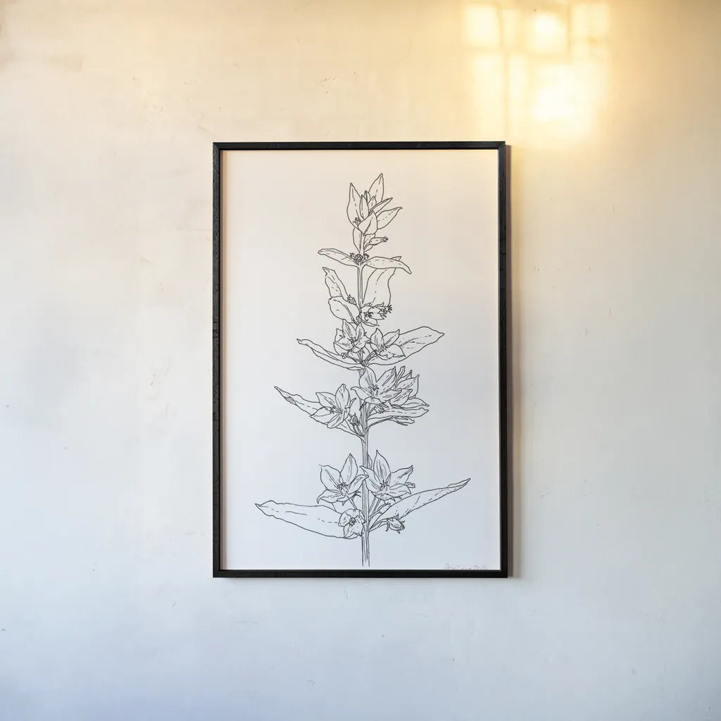 Sketched Flowers by Sara Zieve Miller. shown as a paper print in a black flame. Available as a archival giclee rolled canvas, fine art paper, or poster print. SKU 67952h.