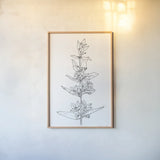 Sketched Flowers by Sara Zieve Miller. shown as a paper print in a natural frame. Available as a archival giclee rolled canvas, fine art paper, or poster print. SKU 67952h.