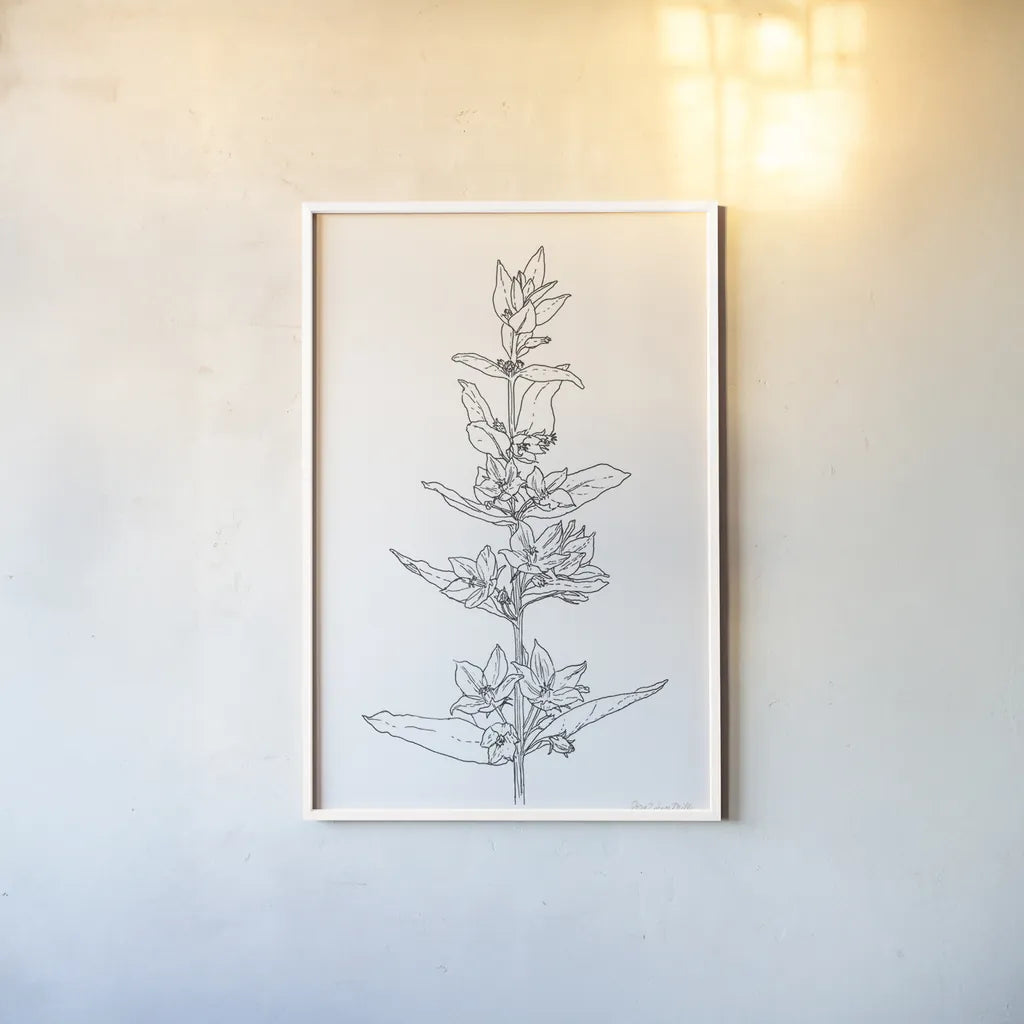 Sketched Flowers by Sara Zieve Miller. shown as a paper print in a white frame. Available as a archival giclee rolled canvas, fine art paper, or poster print. SKU 67952h.