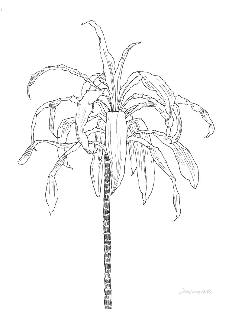 Sketched Tree I by Sara Zieve Miller