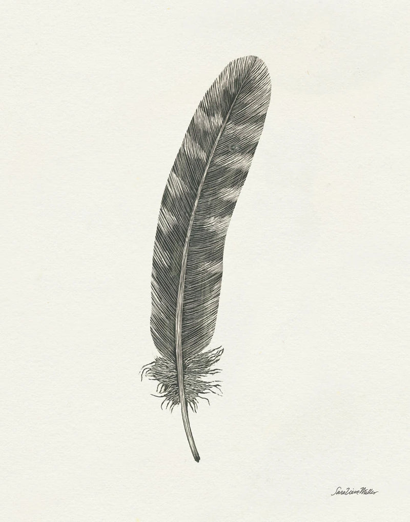 Springtime Feather I by Sara Zieve Miller