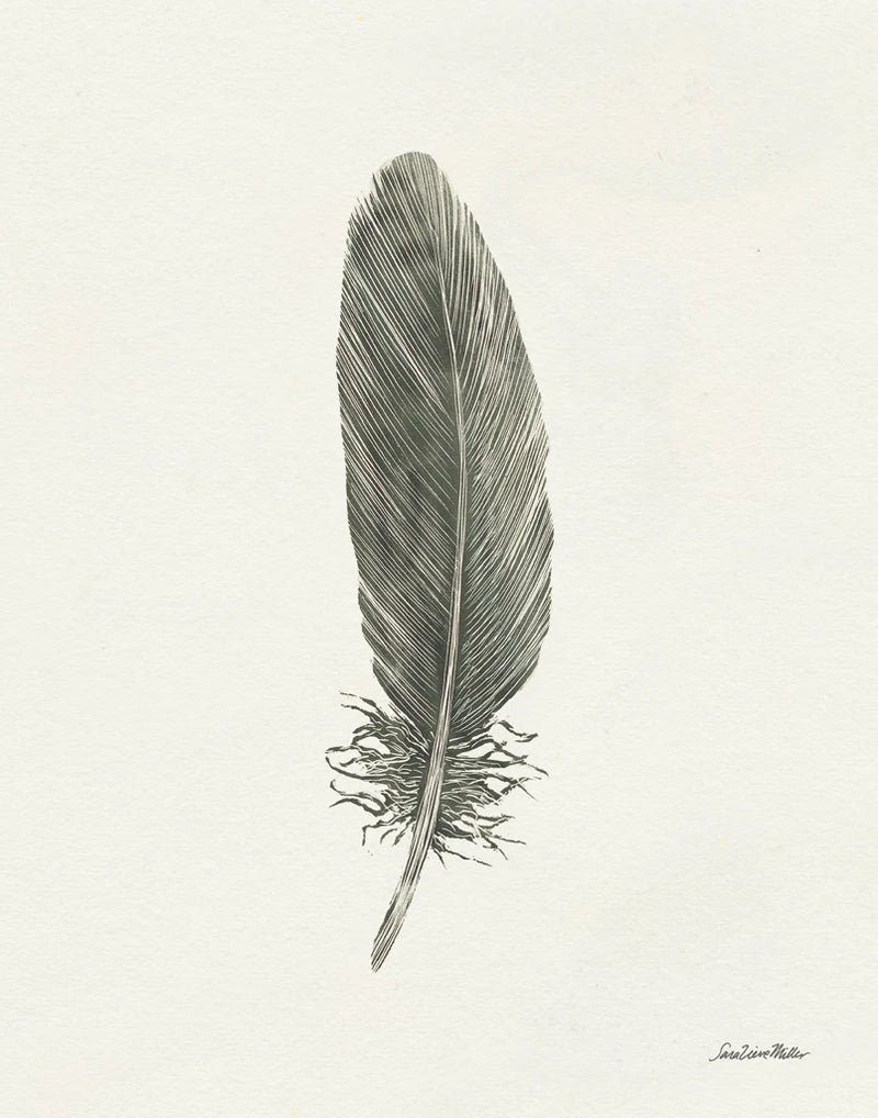 Springtime Feather II by Sara Zieve Miller