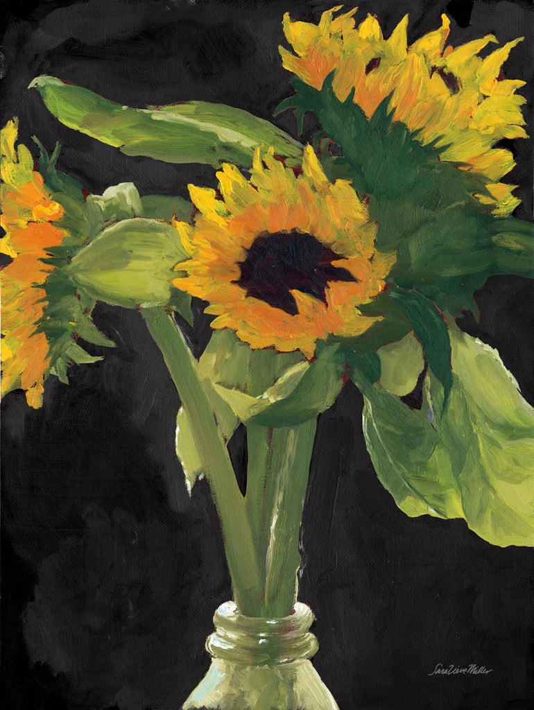 Sunny on Black by Sara Zieve Miller