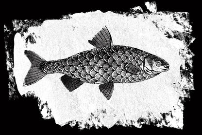 Fish I by Sarah Adams. SKU 82839i. Archival Giclee Fine art print for wall decor.