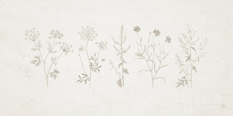 Gifts from the Meadow  I by Sarah Adams