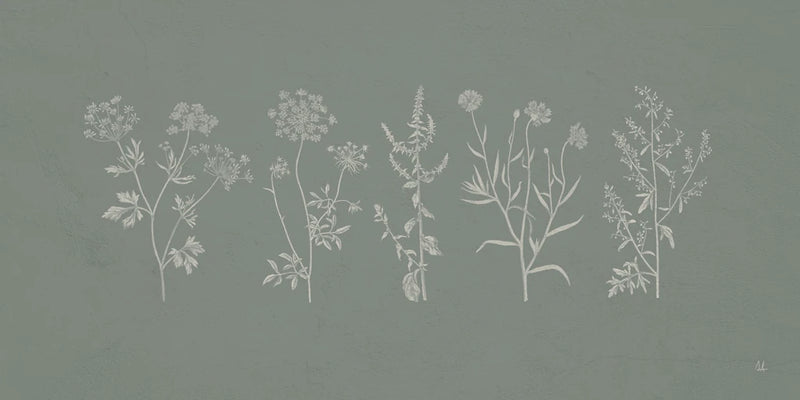 Gifts from the Meadow I Sage by Sarah Adams