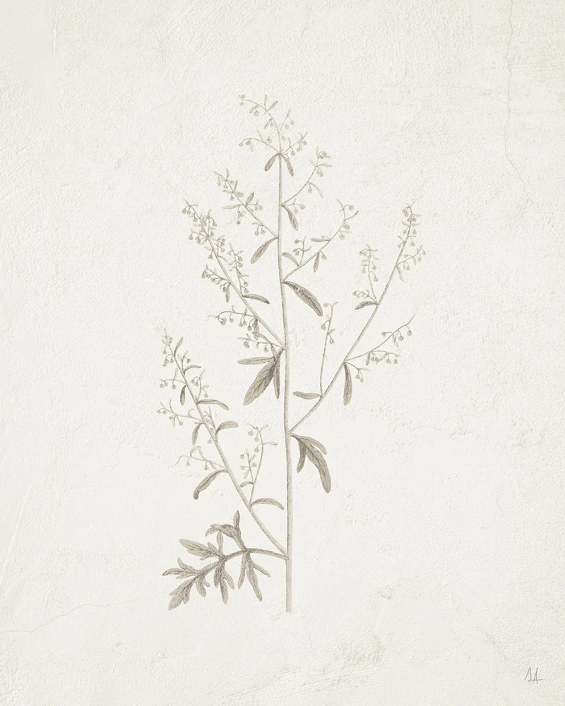 Gifts from the Meadow II by Sarah Adams