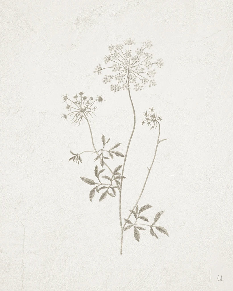 Gifts from the Meadow III by Sarah Adams