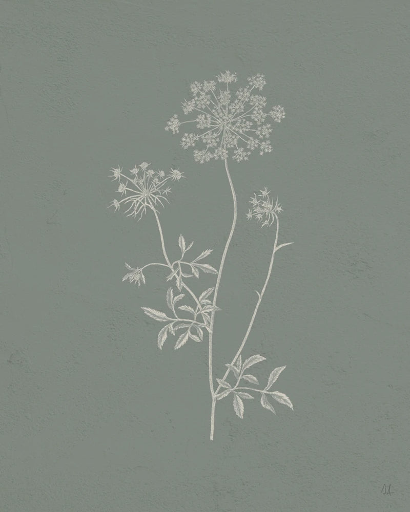 Gifts from the Meadow III Sage by Sarah Adams