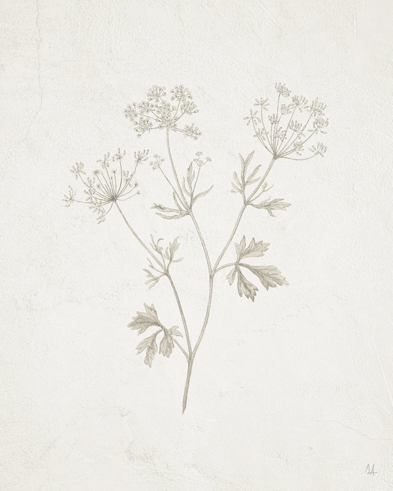 Gifts from the Meadow IV by Sarah Adams