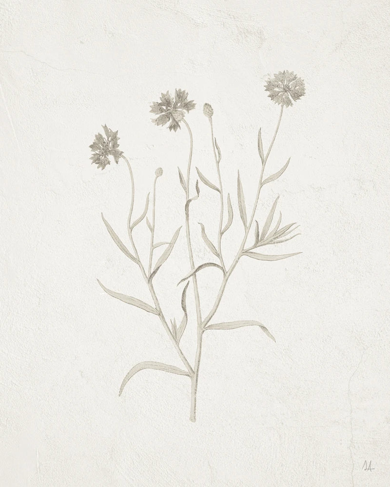 Gifts from the Meadow V by Sarah Adams