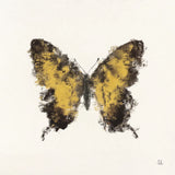 Golden Wings I by Sarah Adams. SKU 92734a. Archival Giclee Fine art print for wall decor.