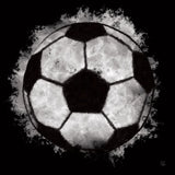 Let the Games Begin IV by Sarah Adams. SKU 83766a. Archival Giclee Fine art print for wall decor.