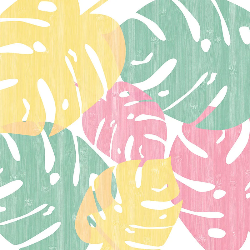 Monstera I Bright on White by Sarah Adams. SKU 33647a. Archival Giclee Fine art print for wall decor.