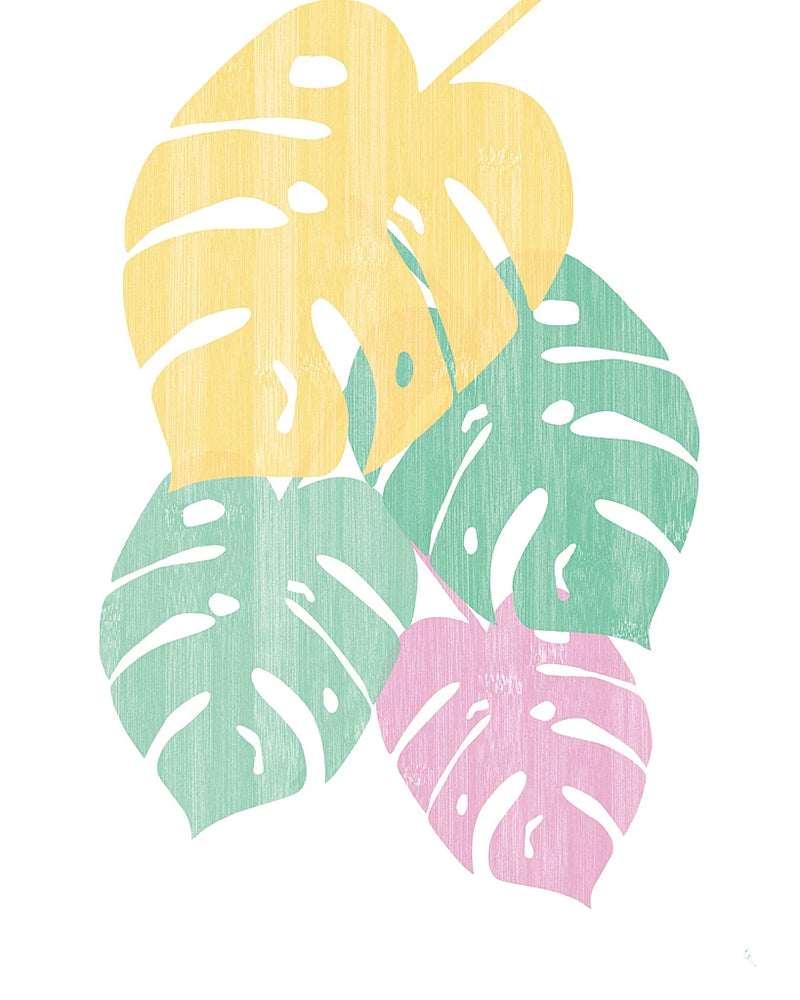 Monstera III Bright on White by Sarah Adams