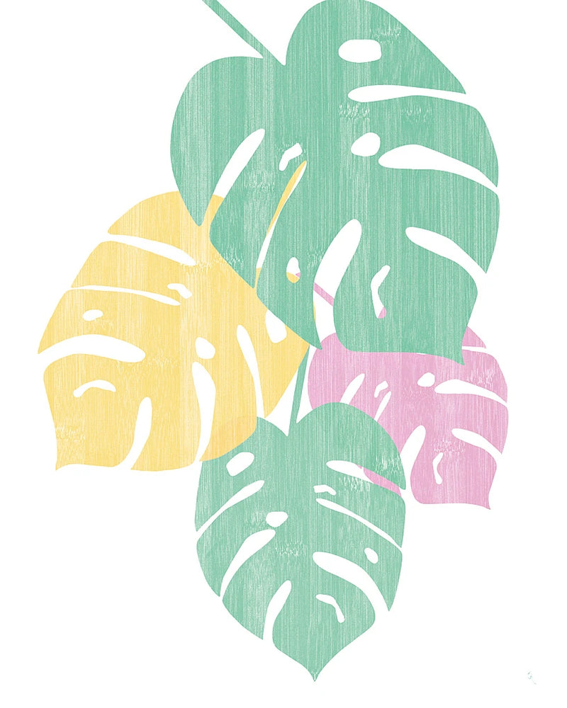 Monstera IV Bright on White by Sarah Adams