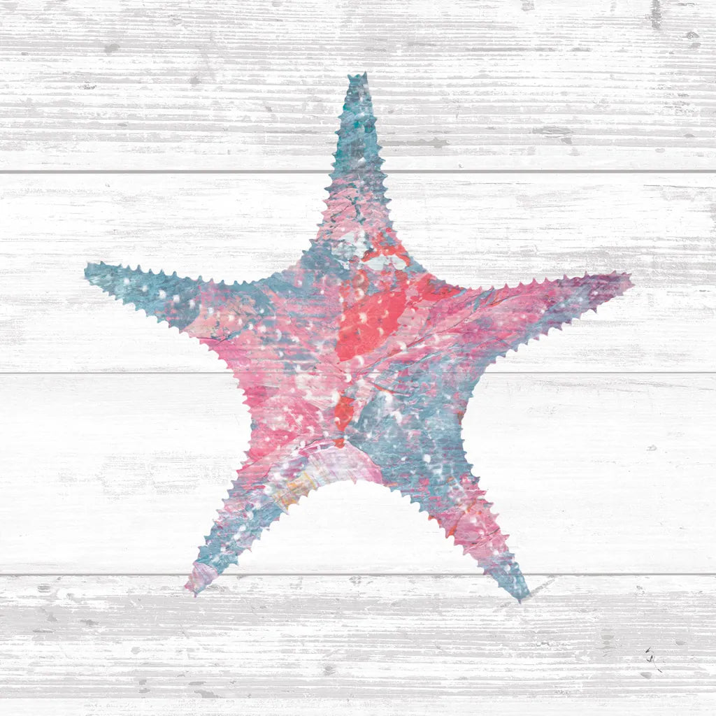 Ocean Life IV by Sarah Adams. SKU 35947a. Archival Giclee Fine art print for wall decor.