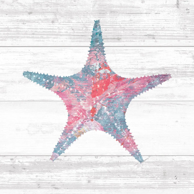 Ocean Life IV by Sarah Adams. SKU 35947a. Archival Giclee Fine art print for wall decor.