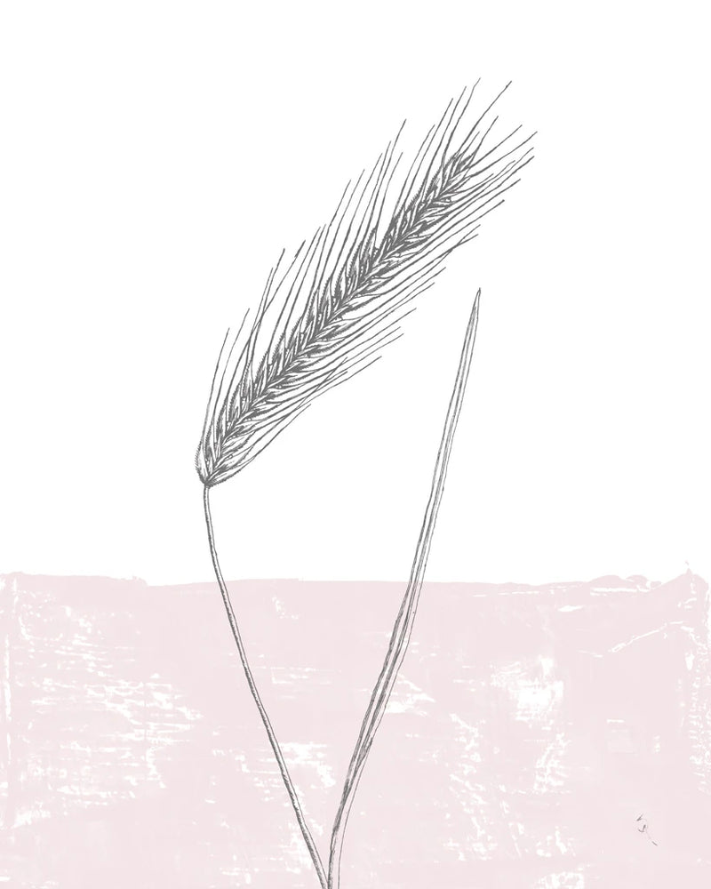 Rye by Sarah Adams