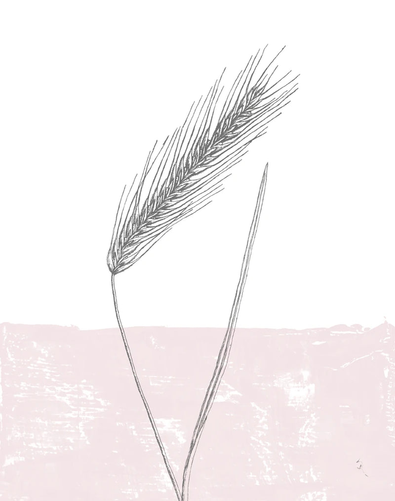 Rye by Sarah Adams