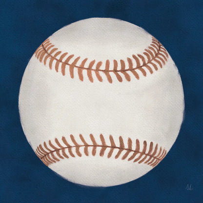 Sports Classics I by Sarah Adams. SKU 95805a. Archival Giclee Fine art print for wall decor.
