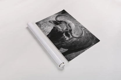 African Buffalo by Sharon Vardy. shown as a rolled paper print. Available as archival giclee rolled canvas, fine art paper, or poster print. SKU 91993i.