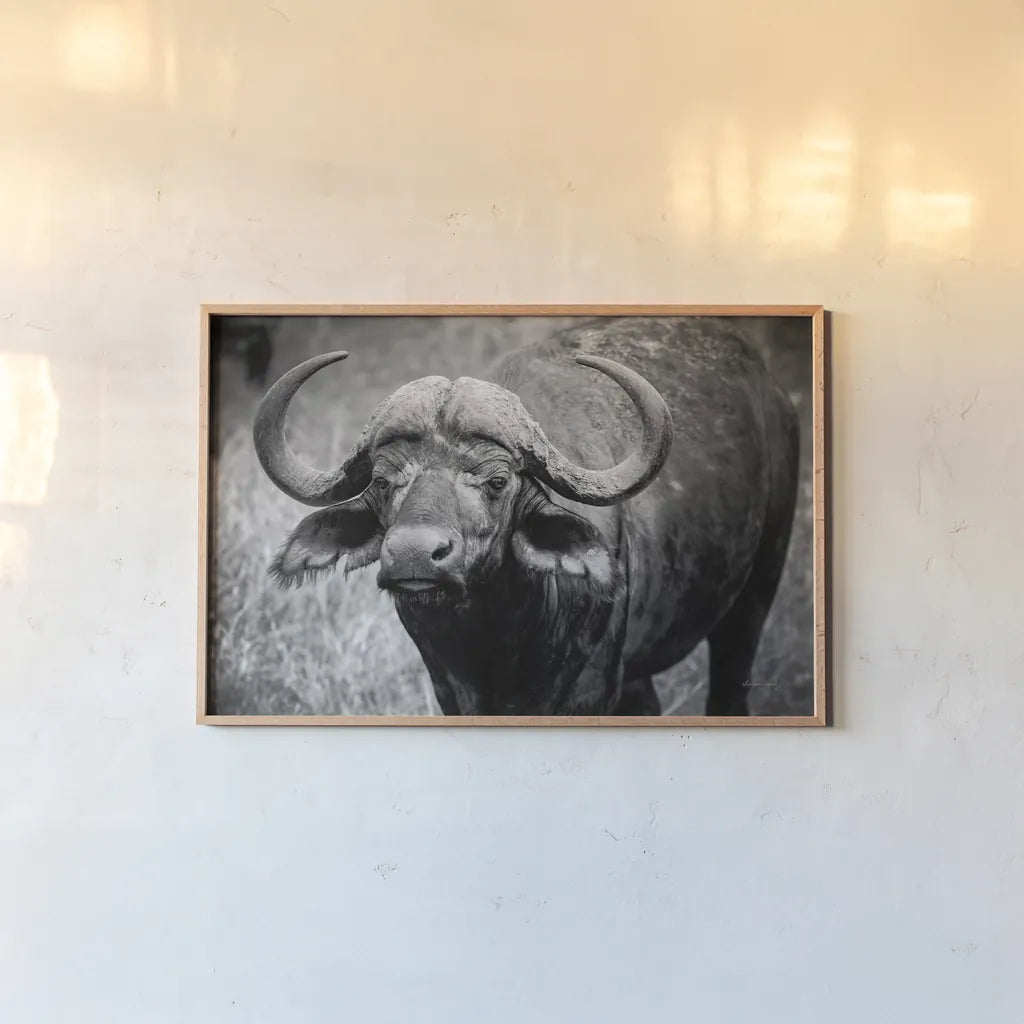 African Buffalo by Sharon Vardy. shown as a paper print in a natural frame. Available as a archival giclee rolled canvas, fine art paper, or poster print. SKU 91993i.