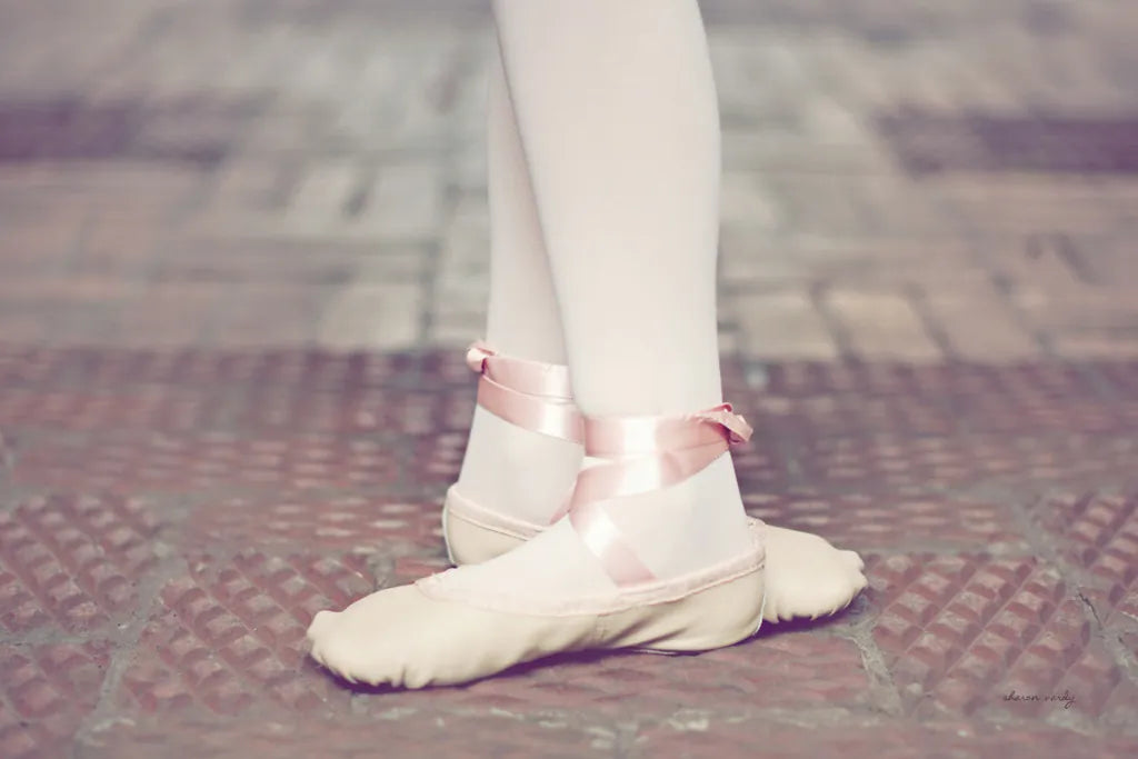 Ballet Shoes by Sharon Vardy. SKU 93117i. Archival Giclee Fine art print for wall decor.