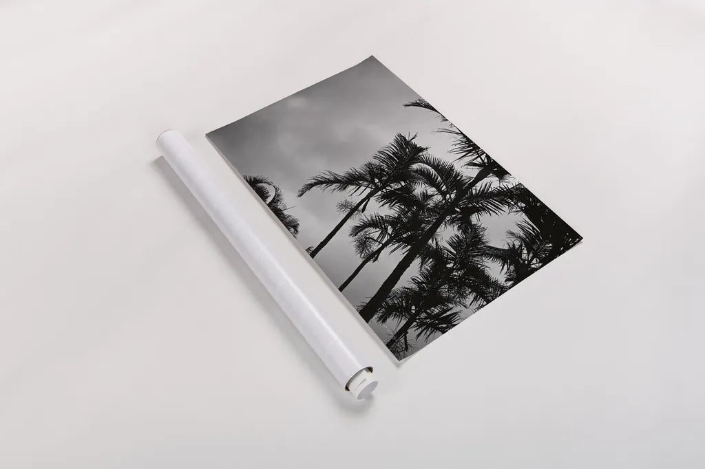 Bamboo Palms by Sharon Vardy. shown as a rolled paper print. Available as archival giclee rolled canvas, fine art paper, or poster print. SKU 93118i.