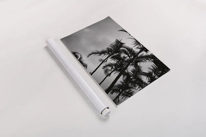 Bamboo Palms by Sharon Vardy. shown as a rolled paper print. Available as archival giclee rolled canvas, fine art paper, or poster print. SKU 93118i.