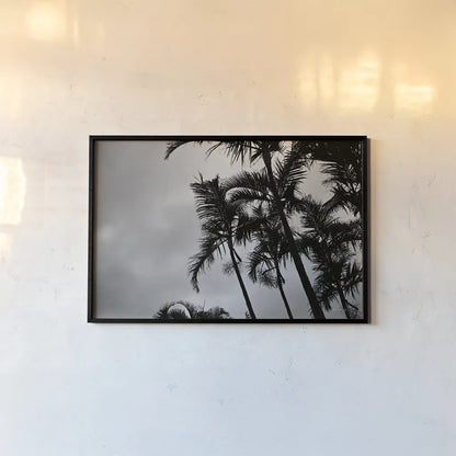 Bamboo Palms by Sharon Vardy. shown as a paper print in a black flame. Available as a archival giclee rolled canvas, fine art paper, or poster print. SKU 93118i.