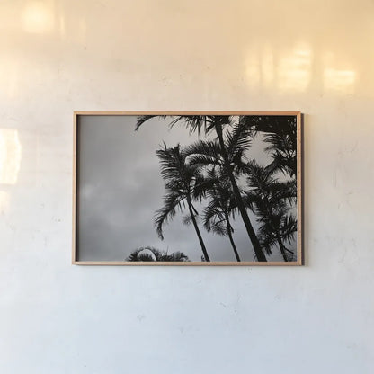 Bamboo Palms by Sharon Vardy. shown as a paper print in a natural frame. Available as a archival giclee rolled canvas, fine art paper, or poster print. SKU 93118i.