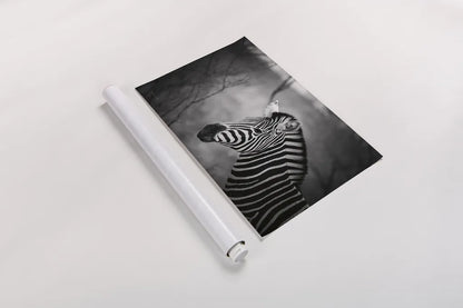 Black and White Zebra by Sharon Vardy. shown as a rolled paper print. Available as archival giclee rolled canvas, fine art paper, or poster print. SKU 92422i.