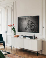 Black and White Zebra by Sharon Vardy. shown as a framed stretched canvas in a living room above a console. Available as a archival giclee rolled canvas, fine art paper, or poster print. SKU 92422i.