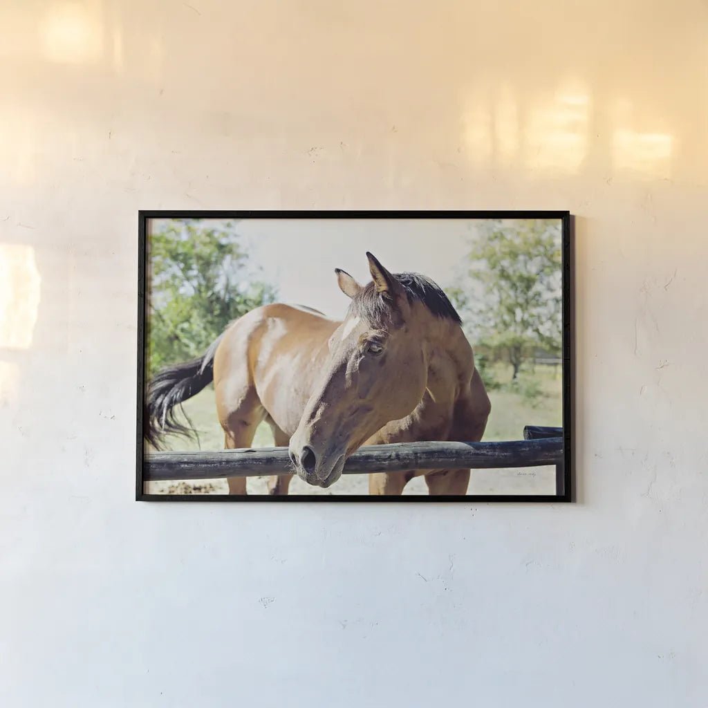 Brown Horse by Sharon Vardy. shown as a paper print in a black flame. Available as a archival giclee rolled canvas, fine art paper, or poster print. SKU 92186i.