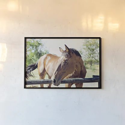 Brown Horse by Sharon Vardy. shown as a paper print in a black flame. Available as a archival giclee rolled canvas, fine art paper, or poster print. SKU 92186i.