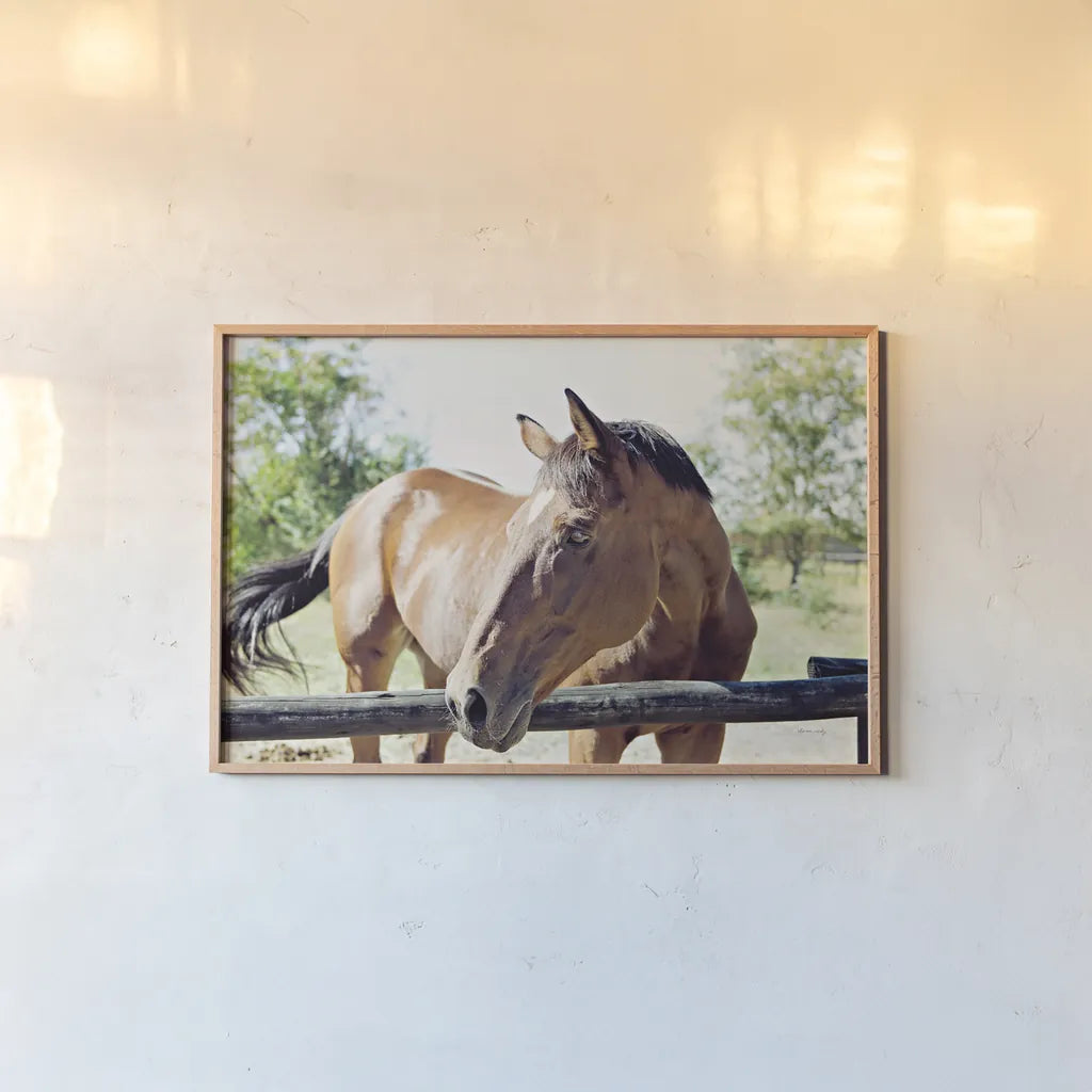 Brown Horse by Sharon Vardy. shown as a paper print in a natural frame. Available as a archival giclee rolled canvas, fine art paper, or poster print. SKU 92186i.