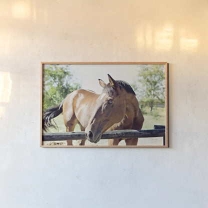 Brown Horse by Sharon Vardy. shown as a paper print in a natural frame. Available as a archival giclee rolled canvas, fine art paper, or poster print. SKU 92186i.