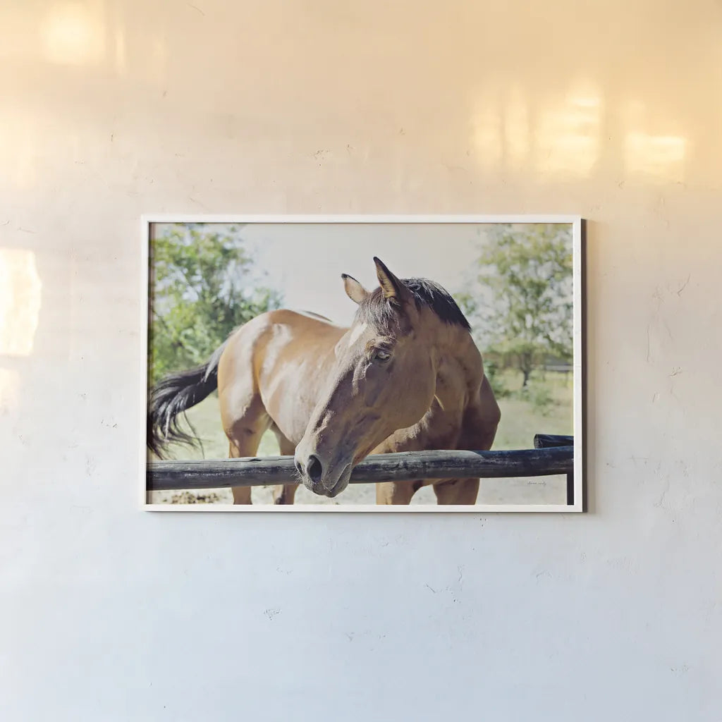 Brown Horse by Sharon Vardy. shown as a paper print in a white frame. Available as a archival giclee rolled canvas, fine art paper, or poster print. SKU 92186i.