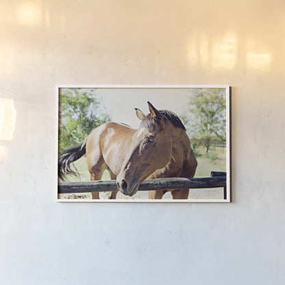 Brown Horse by Sharon Vardy. shown as a paper print in a white frame. Available as a archival giclee rolled canvas, fine art paper, or poster print. SKU 92186i.