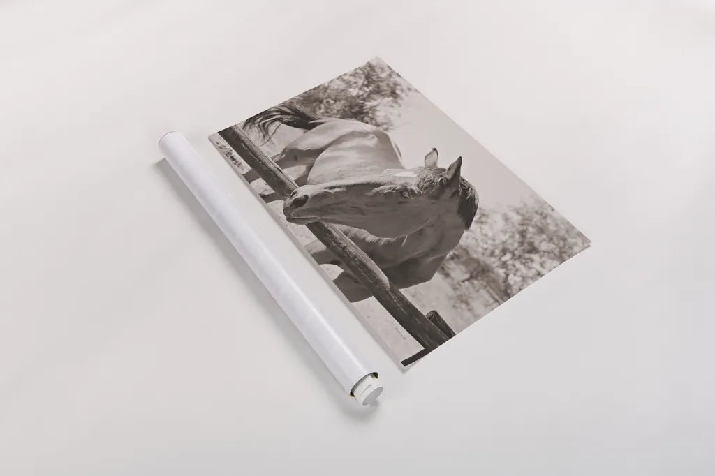 Brown Horse Sepia by Sharon Vardy. shown as a rolled paper print. Available as archival giclee rolled canvas, fine art paper, or poster print. SKU 92187i.