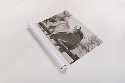 Brown Horse Sepia by Sharon Vardy. shown as a rolled paper print. Available as archival giclee rolled canvas, fine art paper, or poster print. SKU 92187i.