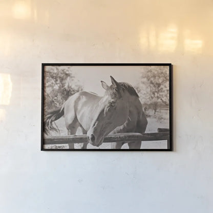 Brown Horse Sepia by Sharon Vardy. shown as a paper print in a black flame. Available as a archival giclee rolled canvas, fine art paper, or poster print. SKU 92187i.