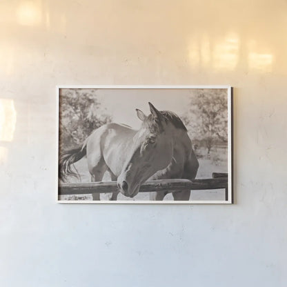Brown Horse Sepia by Sharon Vardy. shown as a paper print in a white frame. Available as a archival giclee rolled canvas, fine art paper, or poster print. SKU 92187i.