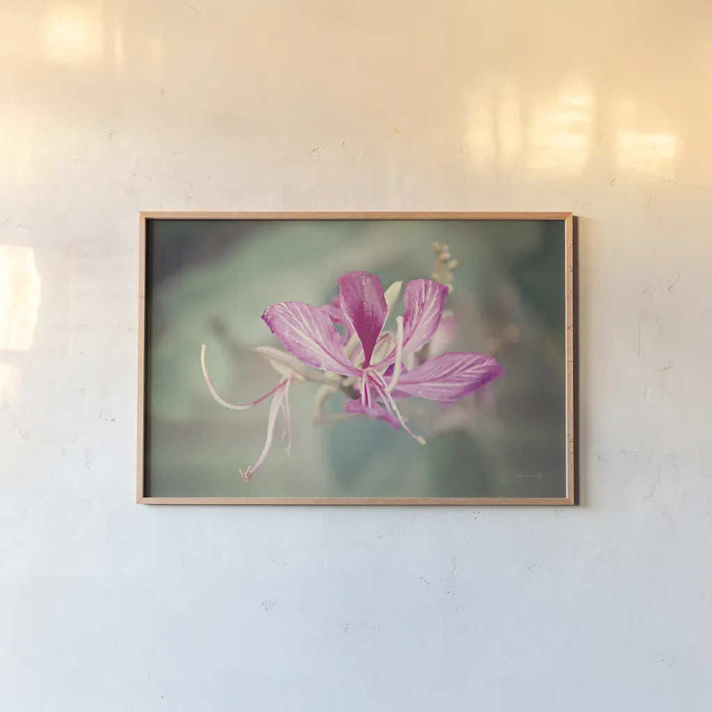 Butterfly Orchid by Sharon Vardy. shown as a paper print in a natural frame. Available as a archival giclee rolled canvas, fine art paper, or poster print. SKU 93127i.