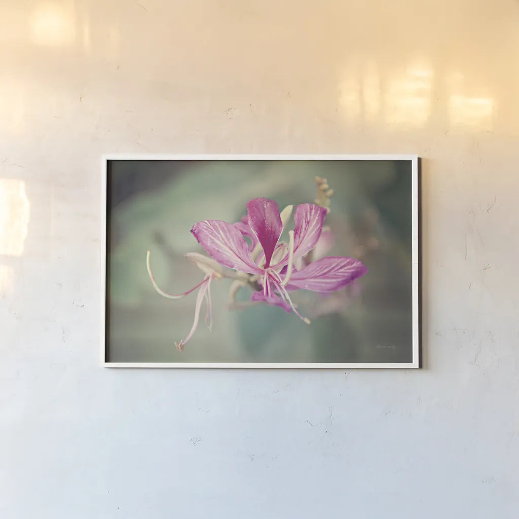 Butterfly Orchid by Sharon Vardy. shown as a paper print in a white frame. Available as a archival giclee rolled canvas, fine art paper, or poster print. SKU 93127i.