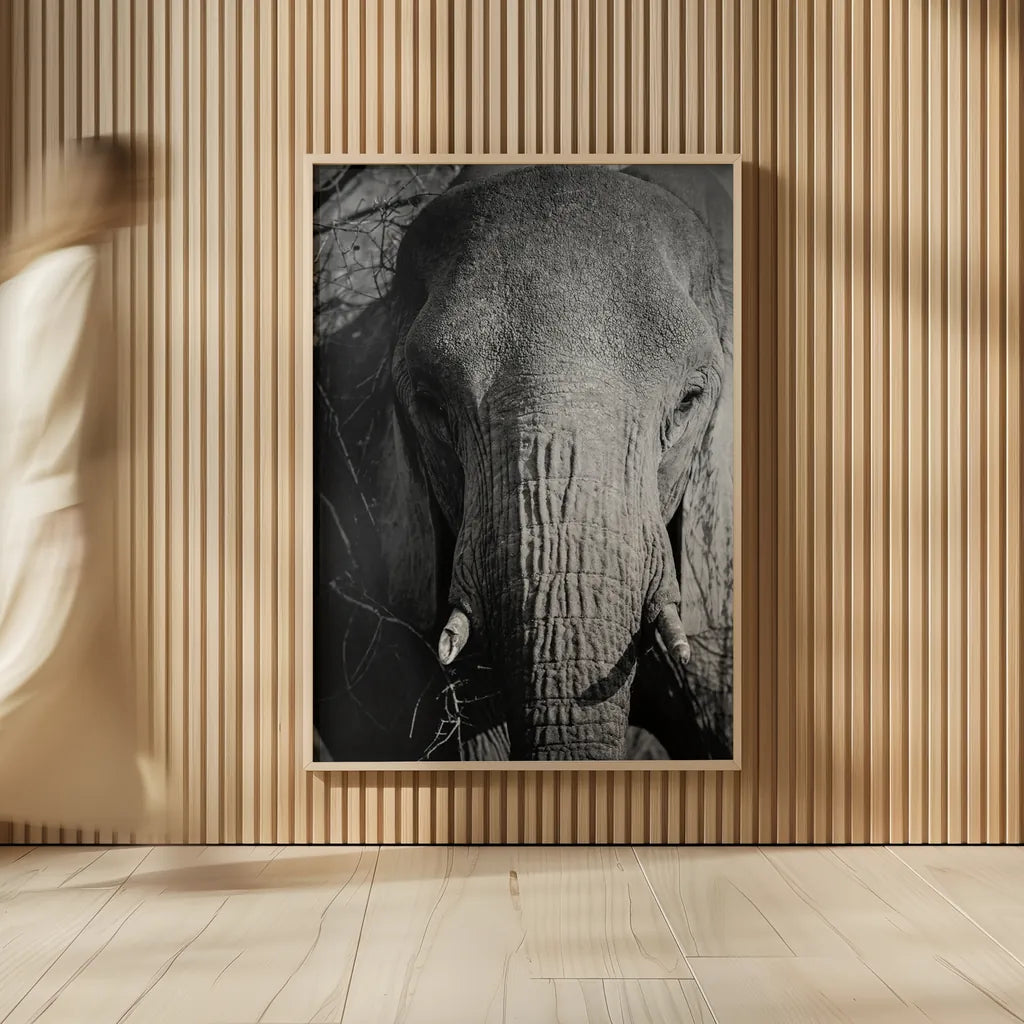 Close Up Elephant by Sharon Vardy. shown as over sized large wall art. Available as an archival giclee rolled canvas, fine art paper, or poster print. SKU 92672h.