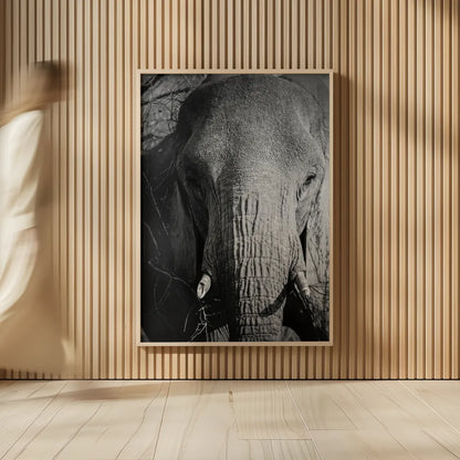 Close Up Elephant by Sharon Vardy. shown as over sized large wall art. Available as an archival giclee rolled canvas, fine art paper, or poster print. SKU 92672h.