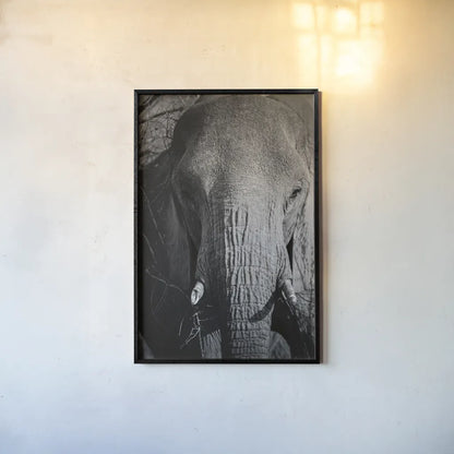 Close Up Elephant by Sharon Vardy. shown as a paper print in a black flame. Available as a archival giclee rolled canvas, fine art paper, or poster print. SKU 92672h.