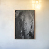 Close Up Elephant by Sharon Vardy. shown as a paper print in a natural frame. Available as a archival giclee rolled canvas, fine art paper, or poster print. SKU 92672h.